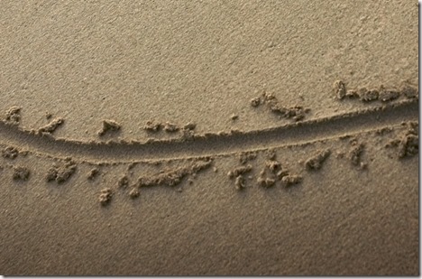line-drawn-in-the-sand