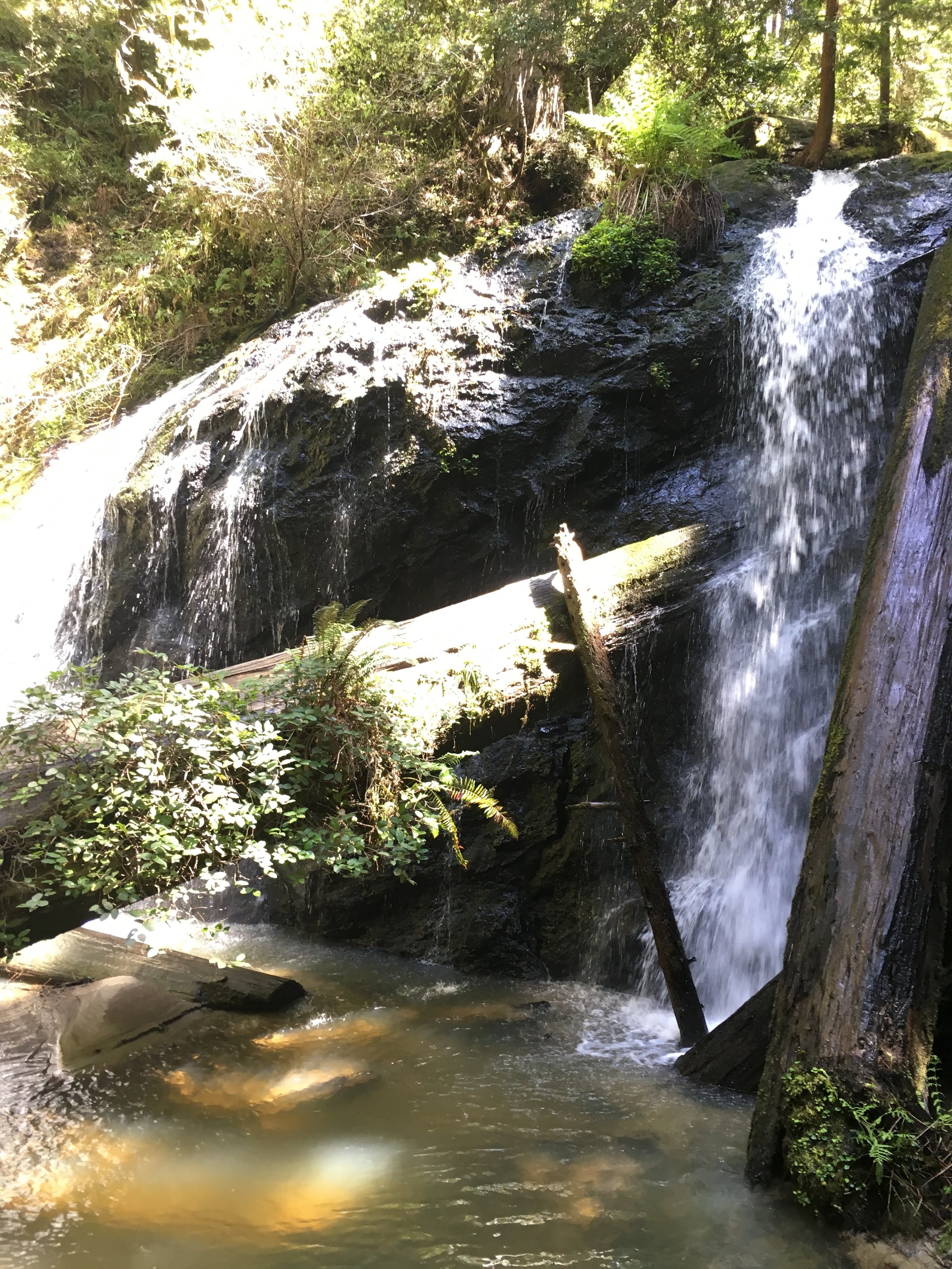 Russian Gulch Waterfall