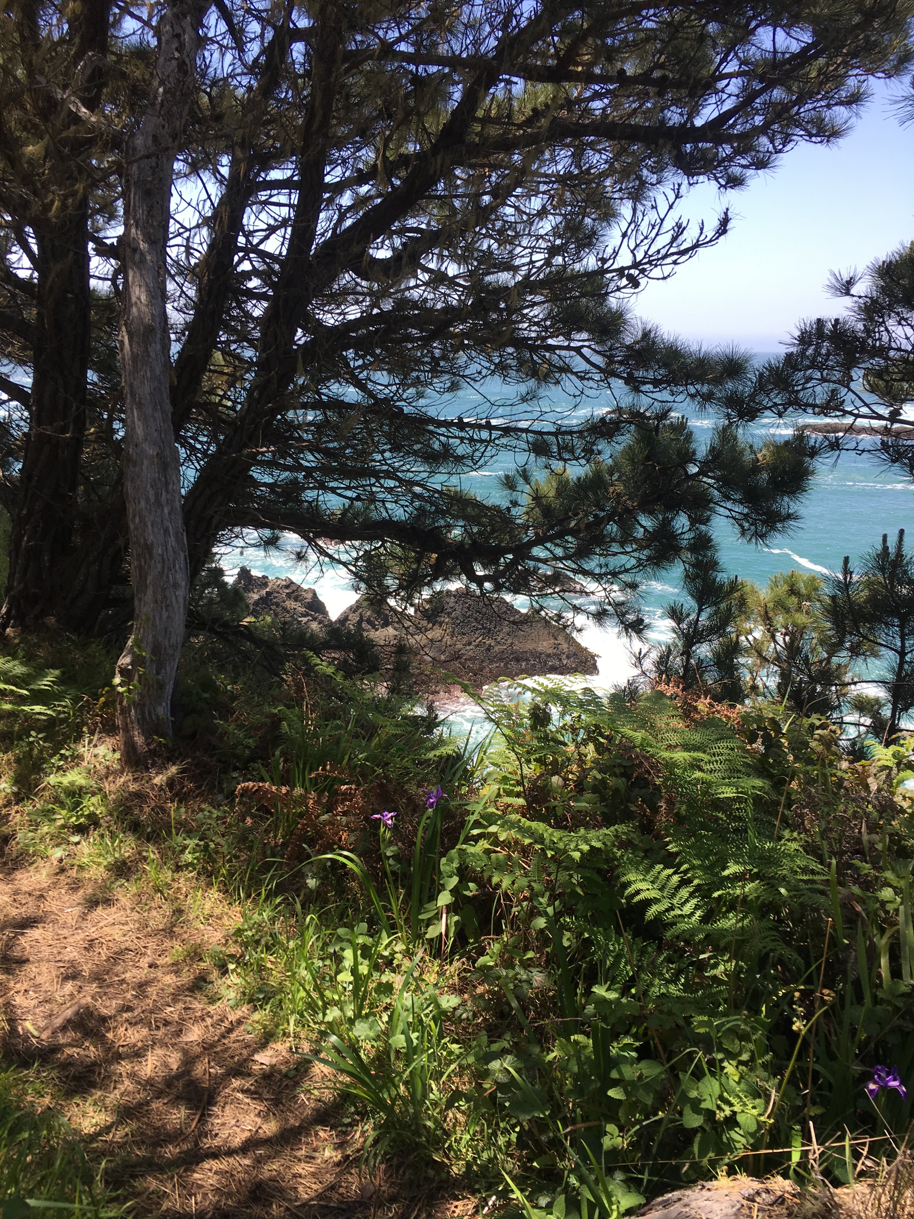 Spectacular views of the Mendocino coast